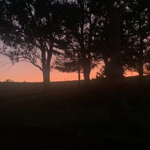 Meet your Posher, Audrey